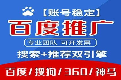 SEO百度推广策略：成功案例解析
